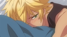 株式会社彗星社のプレスリリース画像3