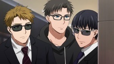 株式会社彗星社のプレスリリース画像3