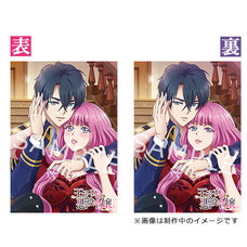 株式会社彗星社のプレスリリース画像2