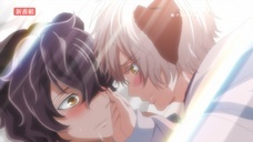 株式会社彗星社のプレスリリース画像4