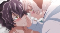 株式会社彗星社のプレスリリース画像6