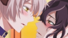 株式会社彗星社のプレスリリース画像3