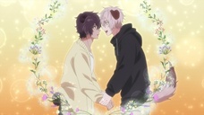 株式会社彗星社のプレスリリース画像6