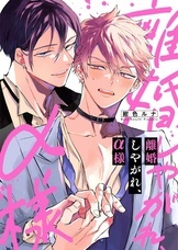 株式会社彗星社のプレスリリース画像2