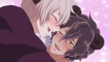 株式会社彗星社のプレスリリース画像4