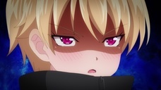 株式会社彗星社のプレスリリース画像3