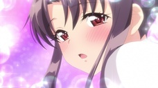 株式会社彗星社のプレスリリース画像2