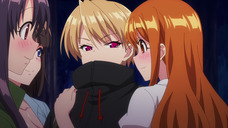 株式会社彗星社のプレスリリース画像5