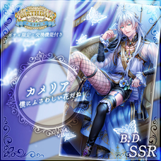 株式会社彗星社のプレスリリース画像1