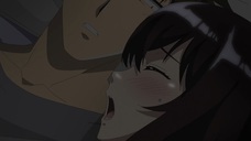 株式会社彗星社のプレスリリース画像4