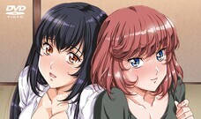 株式会社彗星社のプレスリリース画像5