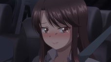 株式会社彗星社のプレスリリース画像6