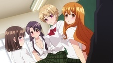 株式会社彗星社のプレスリリース画像4