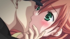 株式会社彗星社のプレスリリース画像4