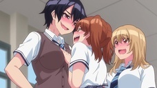 株式会社彗星社のプレスリリース画像3