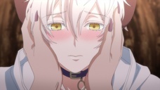 株式会社彗星社のプレスリリース画像1