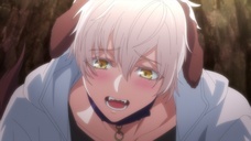 株式会社彗星社のプレスリリース画像4