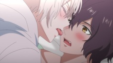 株式会社彗星社のプレスリリース画像3