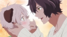 株式会社彗星社のプレスリリース画像2