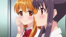 株式会社彗星社のプレスリリース画像3