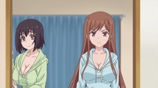 株式会社彗星社のプレスリリース画像3