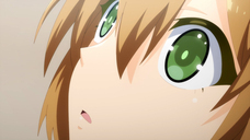 株式会社彗星社のプレスリリース画像4