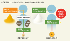株式会社ユニマットリケンのプレスリリース画像6