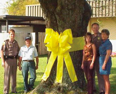 リボンドネーションのプレスリリース画像5