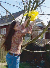 リボンドネーションのプレスリリース画像4