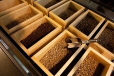 株式会社Chameleonのプレスリリース画像5