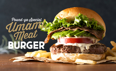 デリシャス・リンクス株式会社のプレスリリース画像6