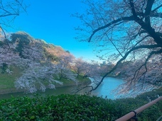 有限会社サクラホテルのプレスリリース画像2