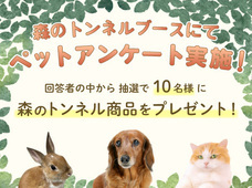 株式会社ビューティーワールドのプレスリリース画像5