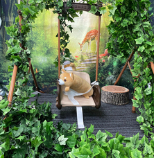 株式会社ビューティーワールドのプレスリリース画像2