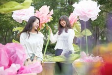 ロクシタンジャポン株式会社のプレスリリース画像2