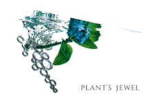 株式会社TRINUSのプレスリリース画像5