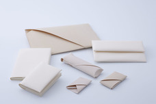 株式会社TRINUSのプレスリリース画像6