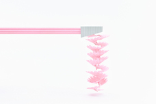 株式会社TRINUSのプレスリリース画像3