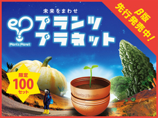 株式会社ムズラ社のプレスリリース画像5