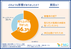 ピーエムジー株式会社のプレスリリース画像2