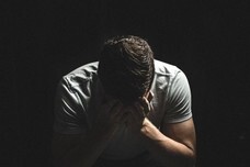 ピーエムジー株式会社のプレスリリース画像5