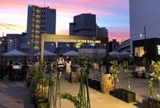 株式会社スイミージャパン/深川ワインガーデンのプレスリリース画像2