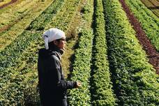 ビオ市野菜市のプレスリリース画像4