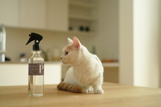 株式会社Heulieのプレスリリース