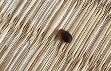 一般社団法人日本環境保健機構のプレスリリース画像1