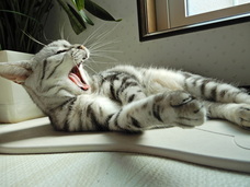 宇部興産建材株式会社エコライフ事業室のプレスリリース画像6