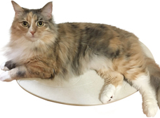 宇部興産建材株式会社エコライフ事業室のプレスリリース画像4