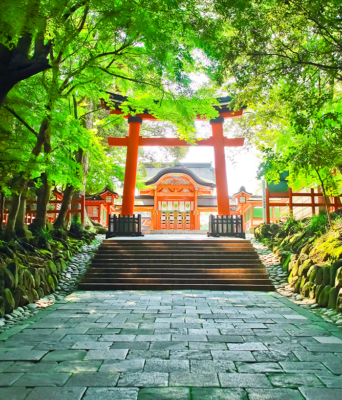 格式高い宇佐神宮での挙式の前後は別府 由布院で おんせん県の魅力を全国に発信する 宇佐神宮結婚式 株式会社 スマイルキューブのプレスリリース 格式高い宇佐神宮での挙式の前後は別府 由布院で おんせん県の魅力を全国に発信する 宇佐神宮結婚式 株式会社 スマイルキューブのプレスリリース