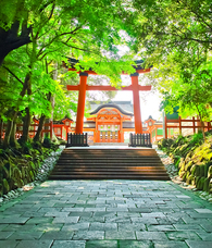 株式会社 スマイルキューブのプレスリリース画像2