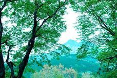 株式会社 スマイルキューブのプレスリリース画像8